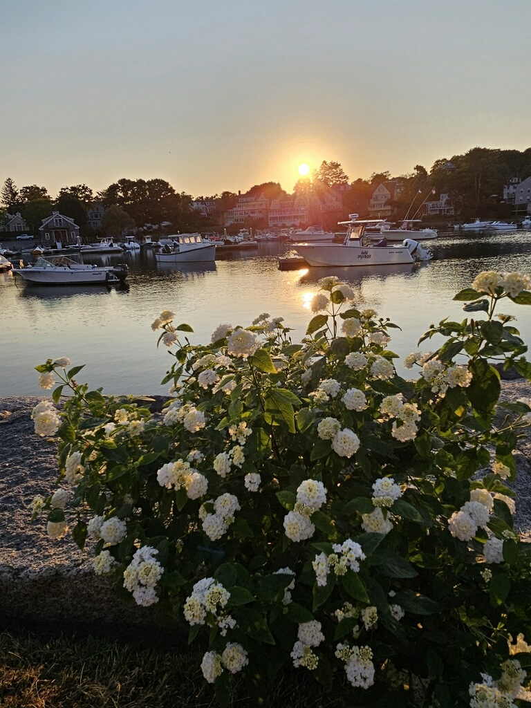 Flowers overlooking Manchester Harbor near Amaral-Bailey Post 113